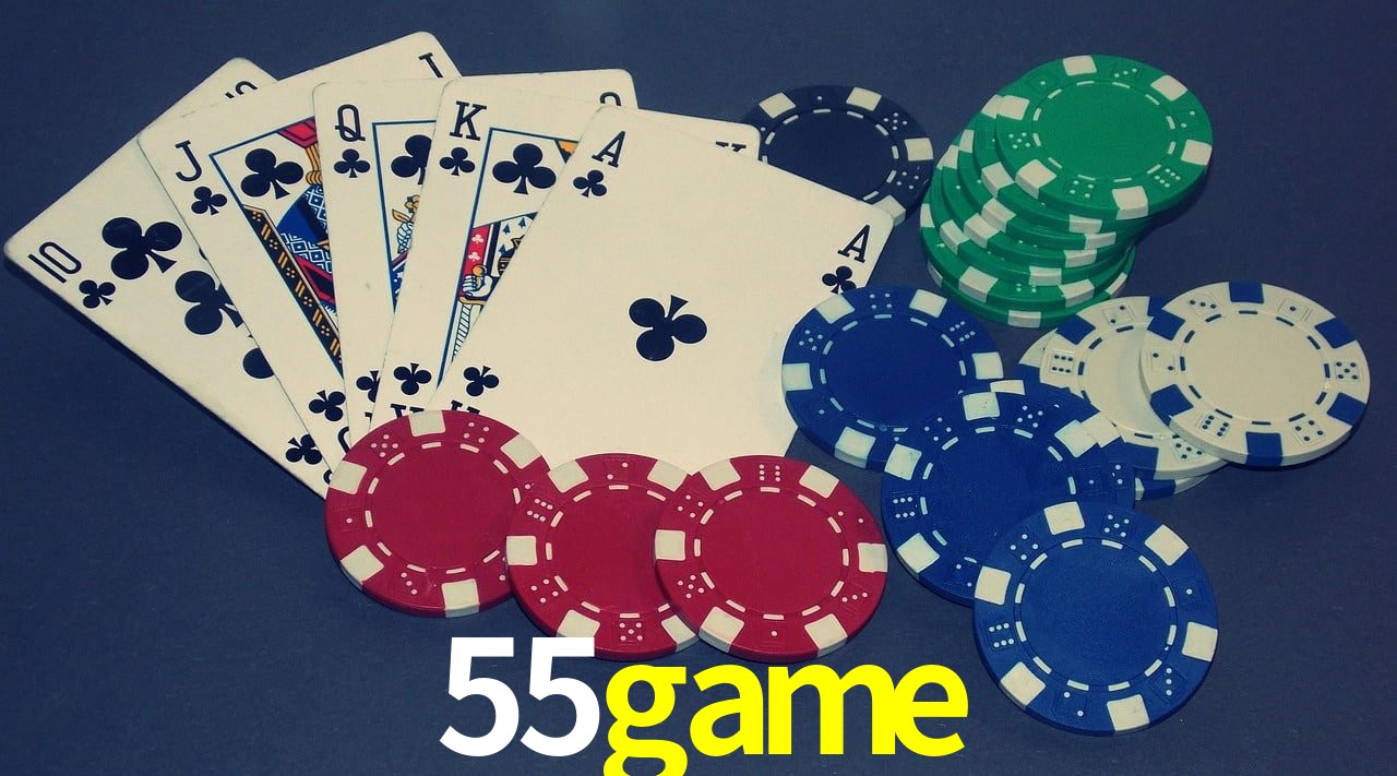 Experiência VIP 55game